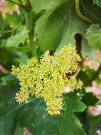 56de043c-2f37-4590-bdbc-9bd90d4aa7f2