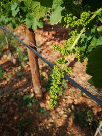 e84900d7-bb45-4172-8f56-d7eb713b4d67